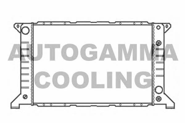 Autogamma 102078 Radiator, engine cooling 102078