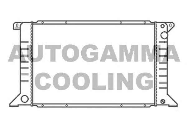 Autogamma 102079 Radiator, engine cooling 102079