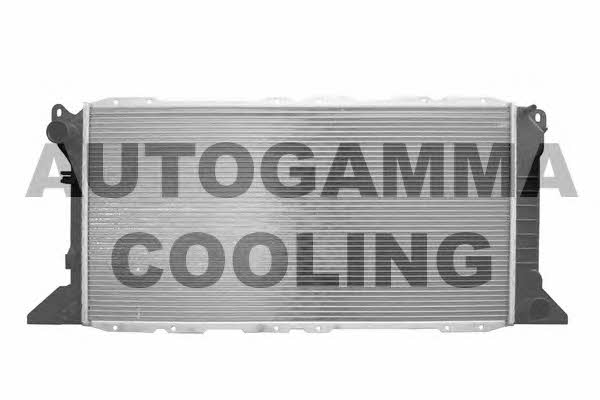 Autogamma 102089 Radiator, engine cooling 102089