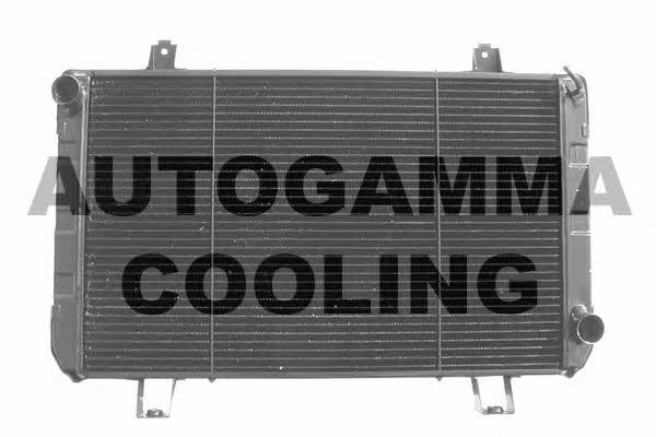 Autogamma 102095 Radiator, engine cooling 102095
