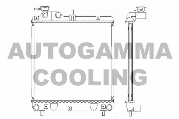 Autogamma 102124 Radiator, engine cooling 102124