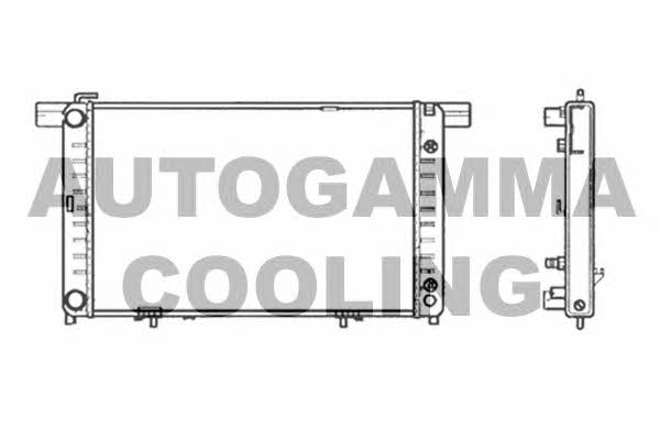 Autogamma 102158 Radiator, engine cooling 102158