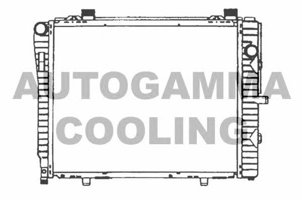 Autogamma 102166 Radiator, engine cooling 102166