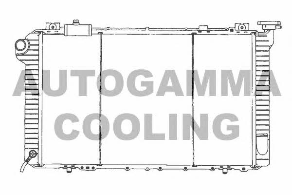 Autogamma 102191 Radiator, engine cooling 102191