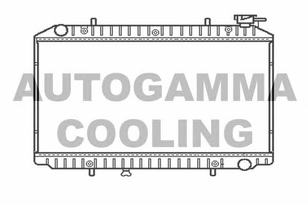 Autogamma 102199 Radiator, engine cooling 102199