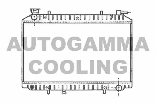 Autogamma 102200 Radiator, engine cooling 102200