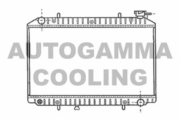 Autogamma 102201 Radiator, engine cooling 102201