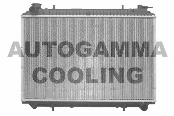 Autogamma 102202 Radiator, engine cooling 102202