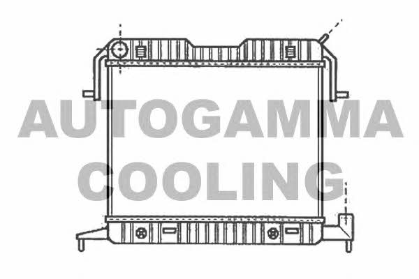 Autogamma 102236 Radiator, engine cooling 102236