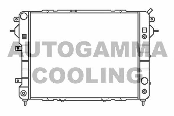 Autogamma 102239 Radiator, engine cooling 102239