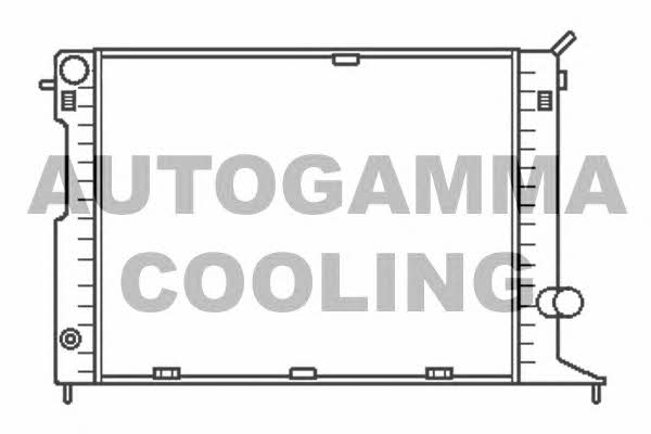 Autogamma 102241 Radiator, engine cooling 102241