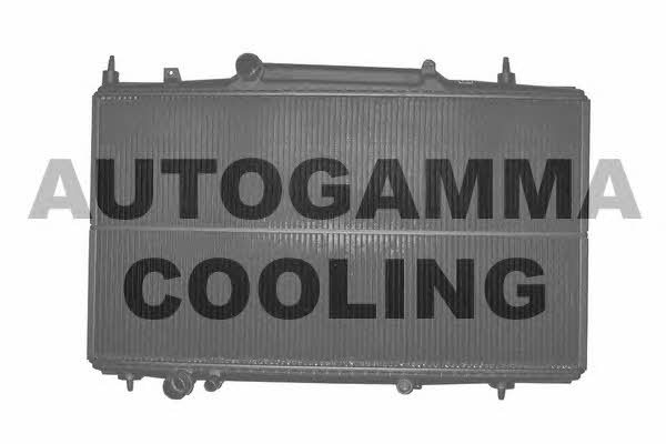 Autogamma 102276 Radiator, engine cooling 102276