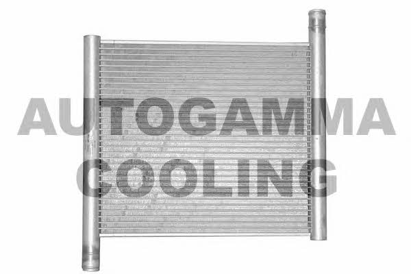 Autogamma 102307 Radiator, engine cooling 102307