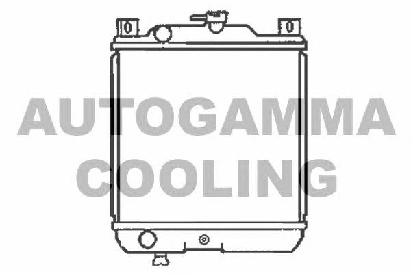 Autogamma 102339 Radiator, engine cooling 102339