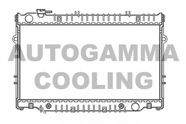 Autogamma 102365 Radiator, engine cooling 102365
