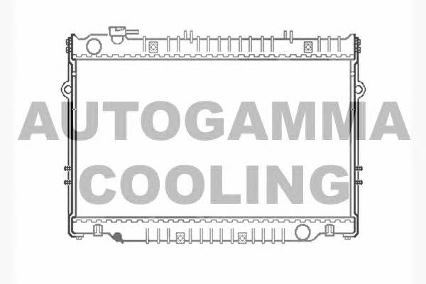 Autogamma 102366 Radiator, engine cooling 102366