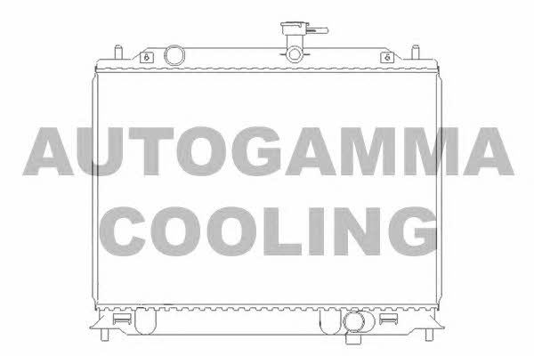 Autogamma 104829 Radiator, engine cooling 104829