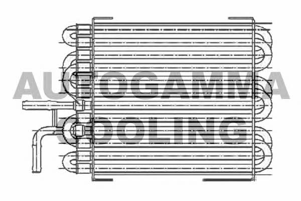 Autogamma 105170 Radiator, engine cooling 105170