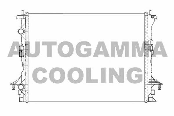 Autogamma 105306 Radiator, engine cooling 105306