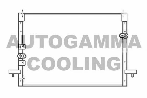 Autogamma 102809 Cooler Module 102809