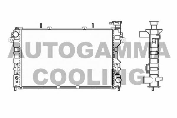 Autogamma 102862 Radiator, engine cooling 102862