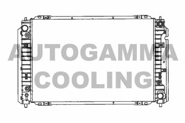 Autogamma 103075 Radiator, engine cooling 103075