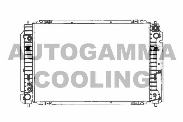 Autogamma 103076 Radiator, engine cooling 103076