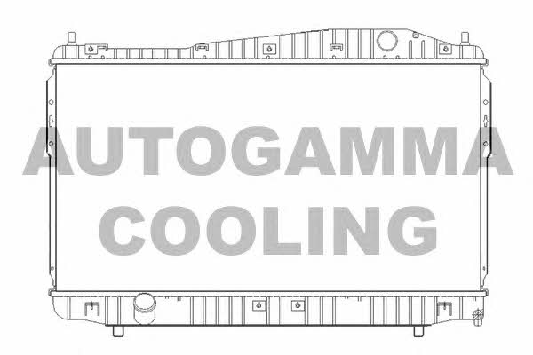 Autogamma 105391 Radiator, engine cooling 105391