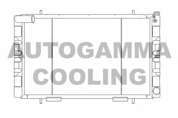 Autogamma 105566 Radiator, engine cooling 105566
