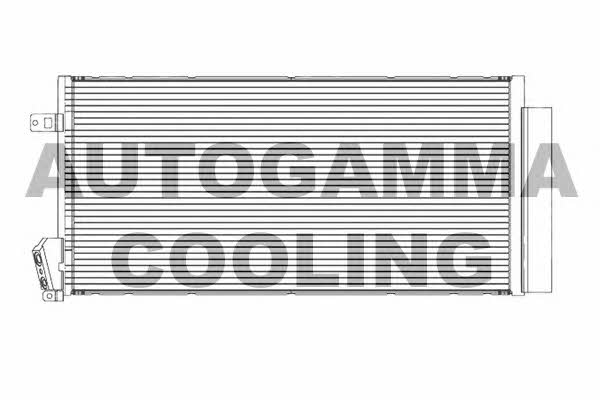 Autogamma 105601 Cooler Module 105601