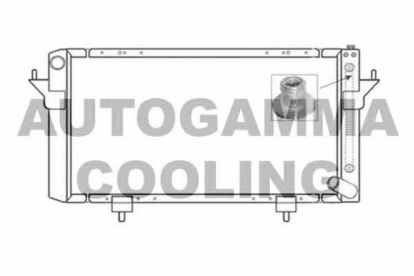 Autogamma 104666 Radiator, engine cooling 104666