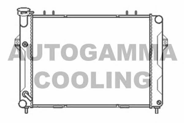 Autogamma 103665 Radiator, engine cooling 103665