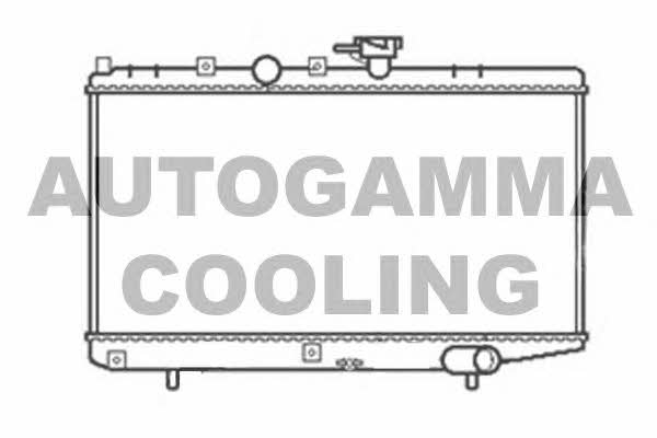 Autogamma 103817 Radiator, engine cooling 103817