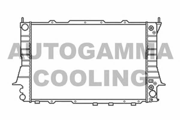 Autogamma 103879 Radiator, engine cooling 103879