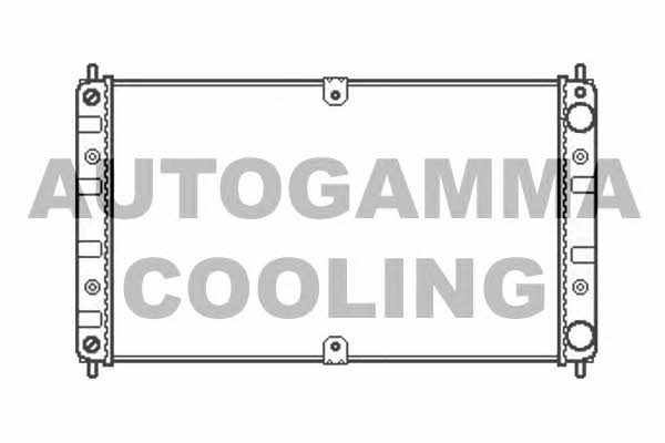 Autogamma 107036 Radiator, engine cooling 107036