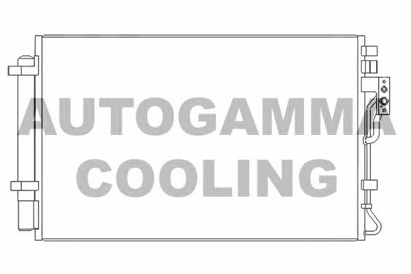 Autogamma 107077 Cooler Module 107077