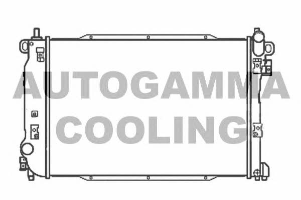 Autogamma 107204 Radiator, engine cooling 107204