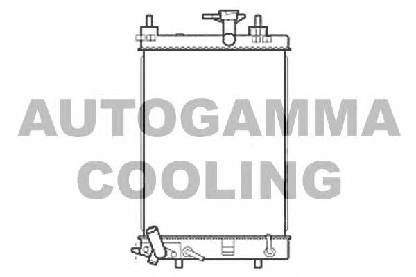 Autogamma 107206 Radiator, engine cooling 107206