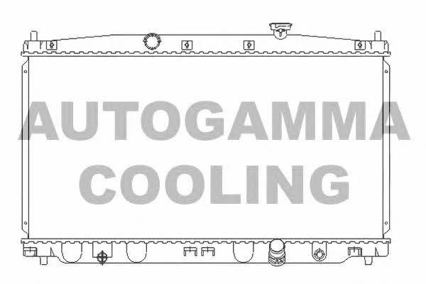 Autogamma 107217 Radiator, engine cooling 107217