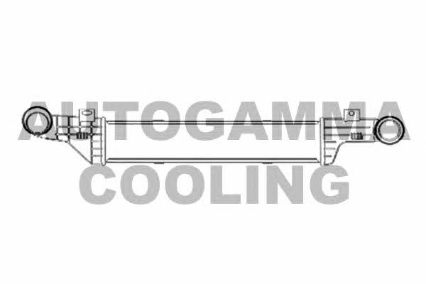 Autogamma 104217 Intercooler, charger 104217