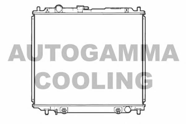 Autogamma 107252 Radiator, engine cooling 107252