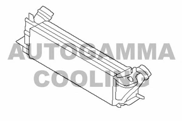 Autogamma 107303 Intercooler, charger 107303