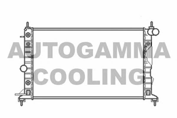 Autogamma 104316 Radiator, engine cooling 104316
