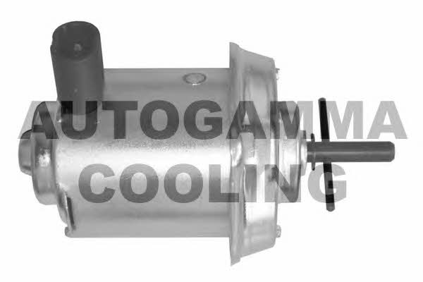 Autogamma GA201655 Hub, engine cooling fan wheel GA201655