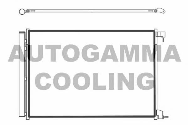Autogamma 107500 Cooler Module 107500