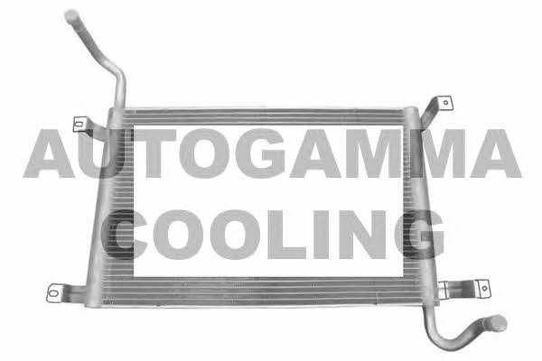 Autogamma 107493 Radiator, engine cooling 107493
