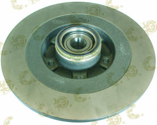 Autokit 01.97719 Rear ventilated brake disc 0197719