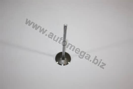 AutoMega 1006410048 Intake valve 1006410048