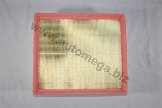 AutoMega 1244160481 Air filter 1244160481