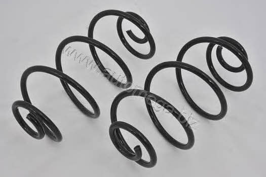 AutoMega 3004240029 Coil Spring 3004240029